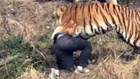 四虎免费视频,带你领略影视盛宴